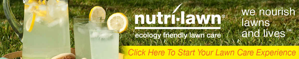 Banner Ad Design by tjgdzns for this project | Design #1500332