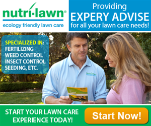 Banner Ad Design by Ana