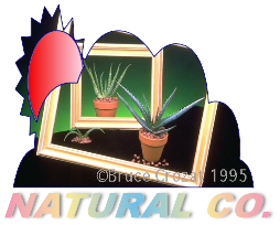 Logo Design by Ahsanul Haque for this project | Design #1496753