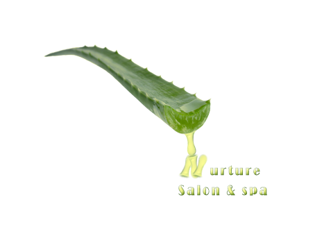 Logo Design by B Designs for this project | Design #1523296
