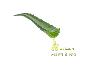 Design de Logo par B Designs pour ce projet | Design : #1523296