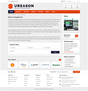 Web Design by Brajpal Freelance Website Designer for Tauros Media | Design: #5366810