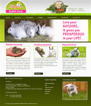 Web Design par Sevensky Media pour ce projet | Design : #308489