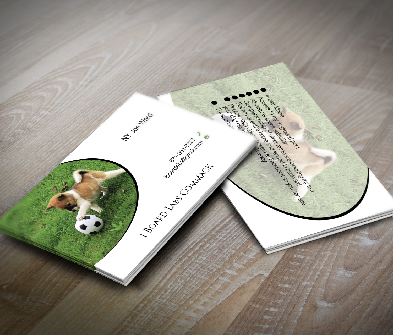 Design de Carte de Visite par Lanka Ama pour ce projet | Design #5374515