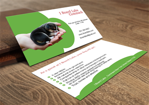 Design de Carte de Visite par Lanka Ama pour ce projet | Design : #5374518