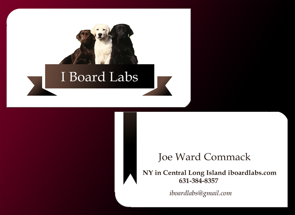 Business Card Design by franke for this project | Design #5387910