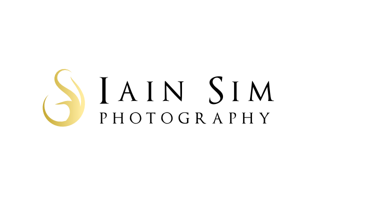 Logo Design by deniselim for this project | Design #274922