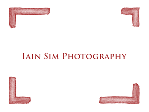 Logo Design by pixelighter