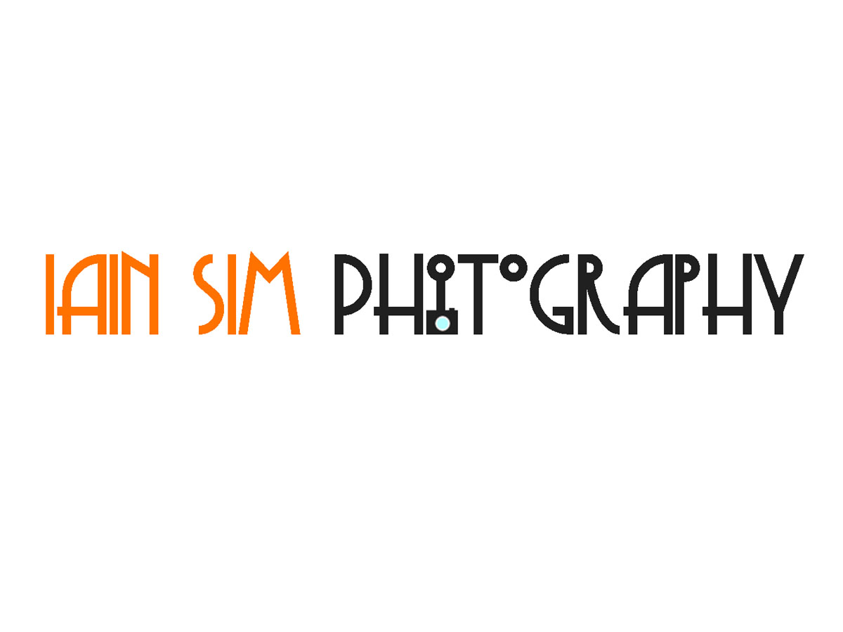 Logo Design by Lauren Novak for this project | Design #281168