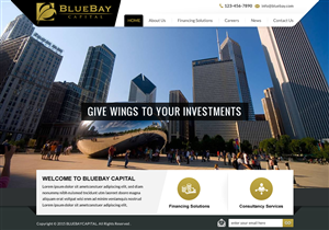BlueBay Capital - Web Design | Web-Design von Sbss