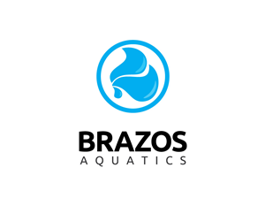 Logo Design by Pixelideas