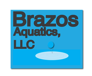 Logo Design by Tollie