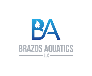 Logo Design by Niko Dola