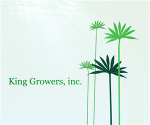 Logo Design by Dion Ferandes