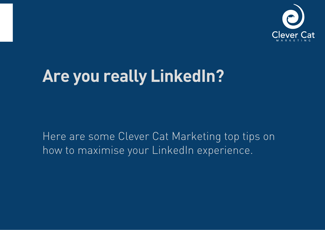 Brochure Design by Ritesh Singh for this project | Design #1499333