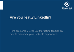 Brochure Design by Ritesh Singh for this project | Design: #1499333