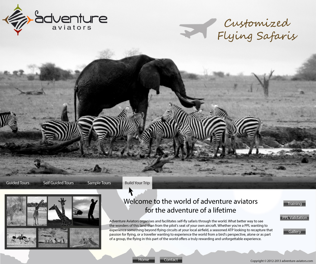 Web Design by Dzains for Adventure Aviators | Design #1517902