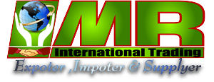 Logo Design by MR MITHU