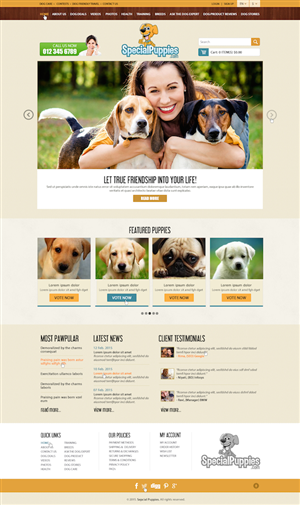 Web Design by Anooshaa Kachhia for this project | Design #5473295