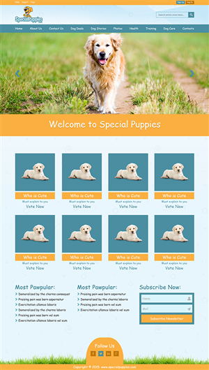 Web Design by Arsalan Ahmed for this project | Design: #5418801