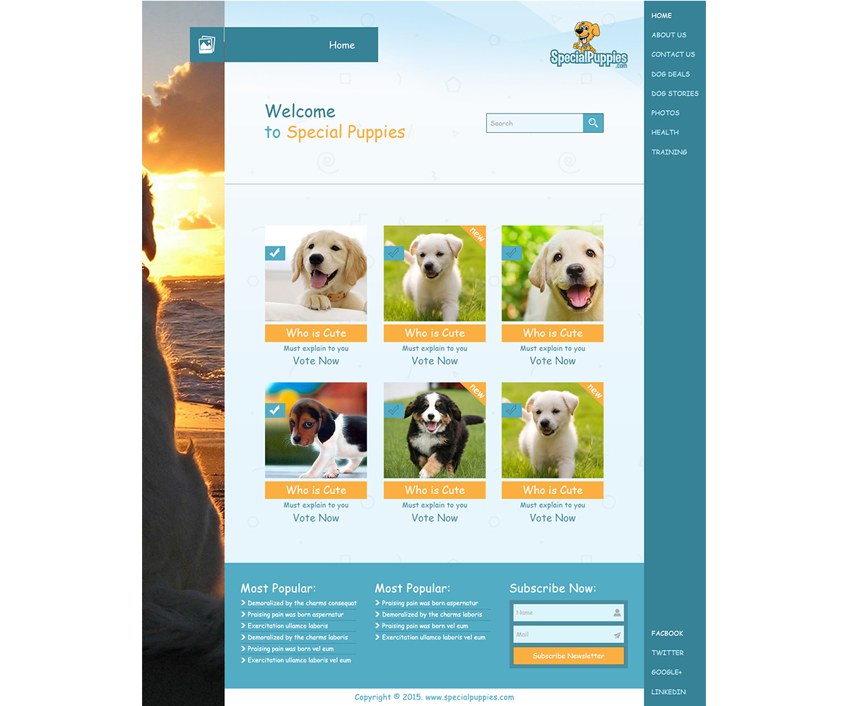 Web Design by Arsalan Ahmed for this project | Design #5449220