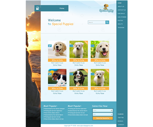 Web Design by Arsalan Ahmed for this project | Design: #5449220