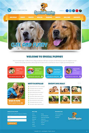 Web Design by pb for this project | Design: #5390182
