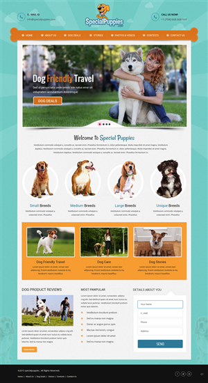 Web Design by pb for this project | Design: #5390201