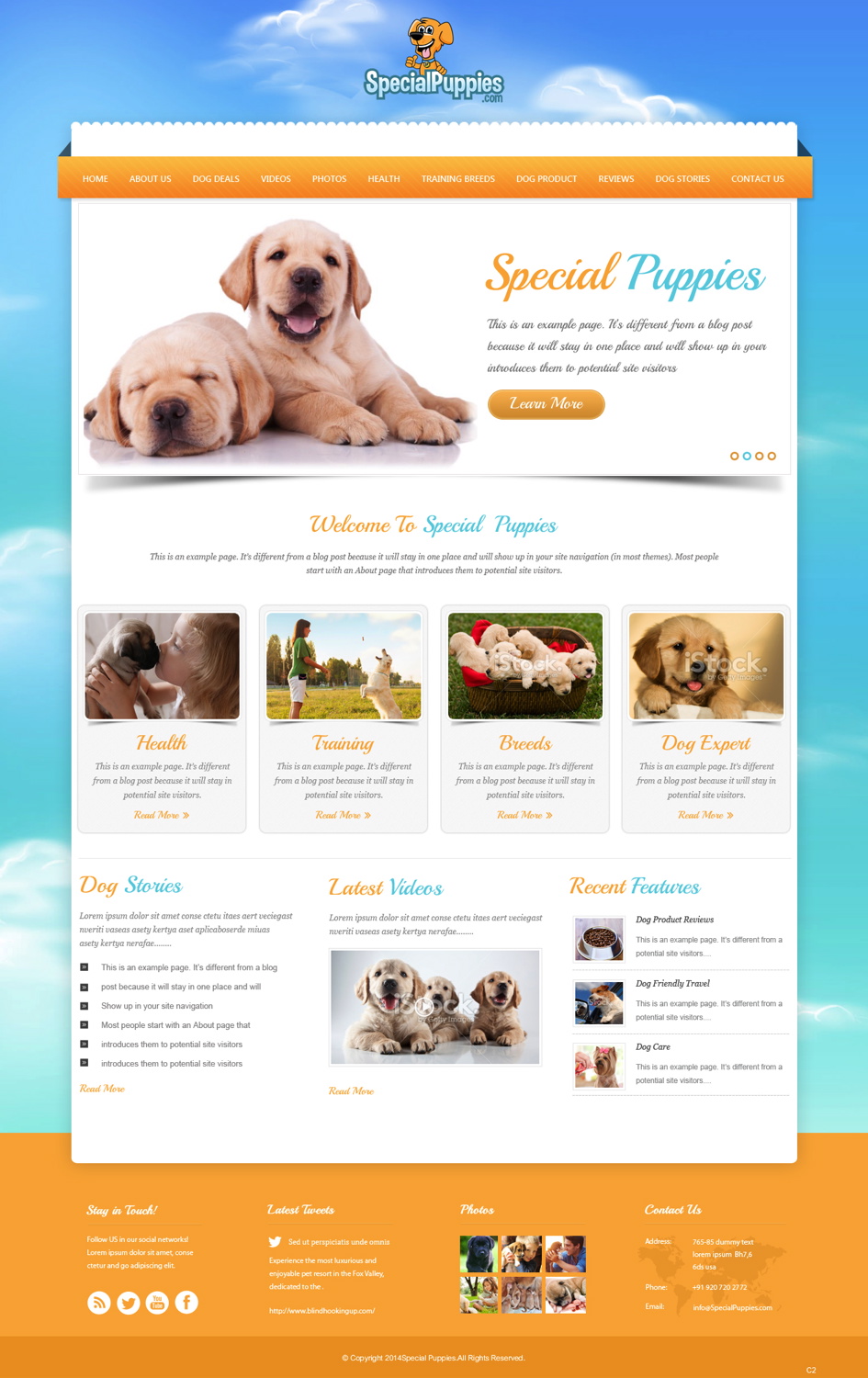 Web Design by pb for this project | Design #5390203