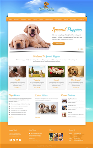 Web Design by pb for this project | Design: #5390203