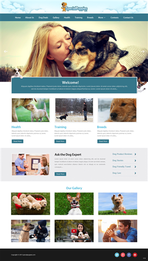 Web Design by pb for this project | Design: #5390206