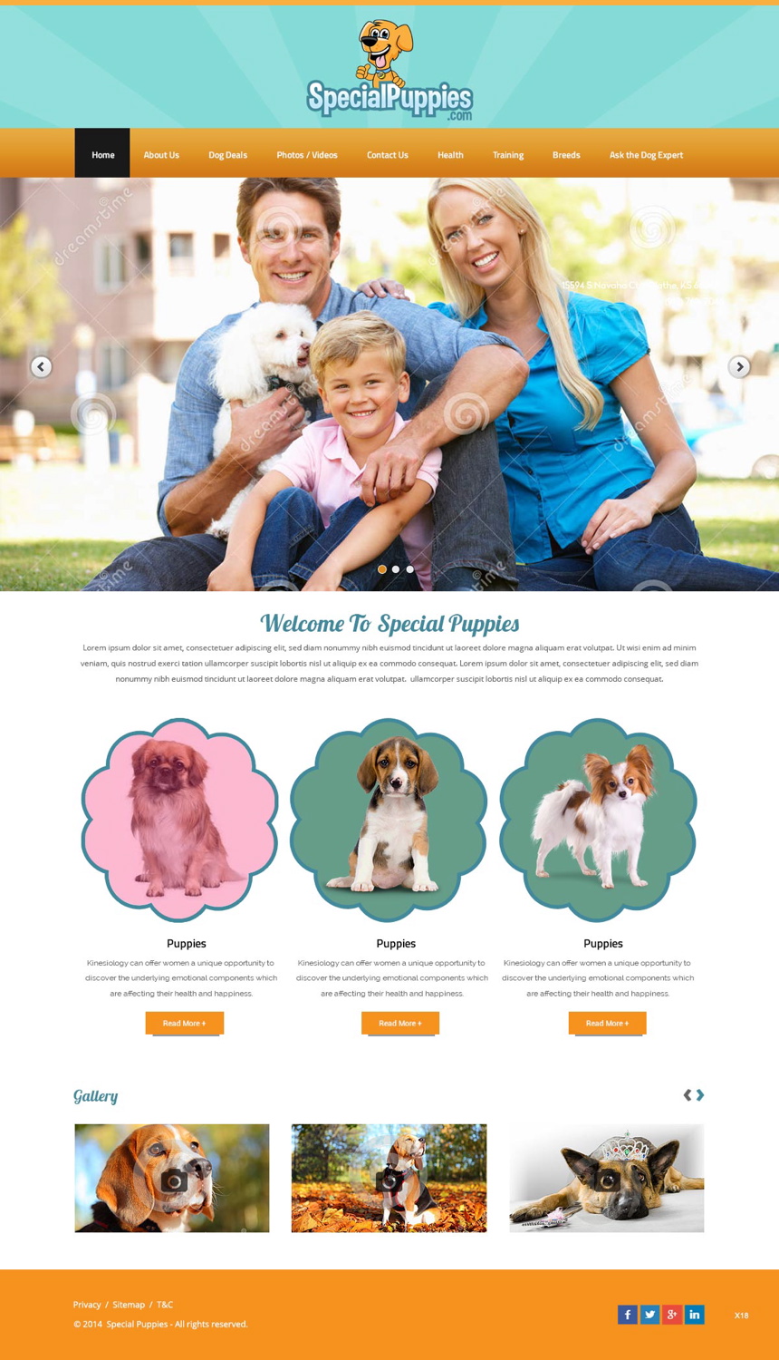 Web Design by pb for this project | Design #5390209