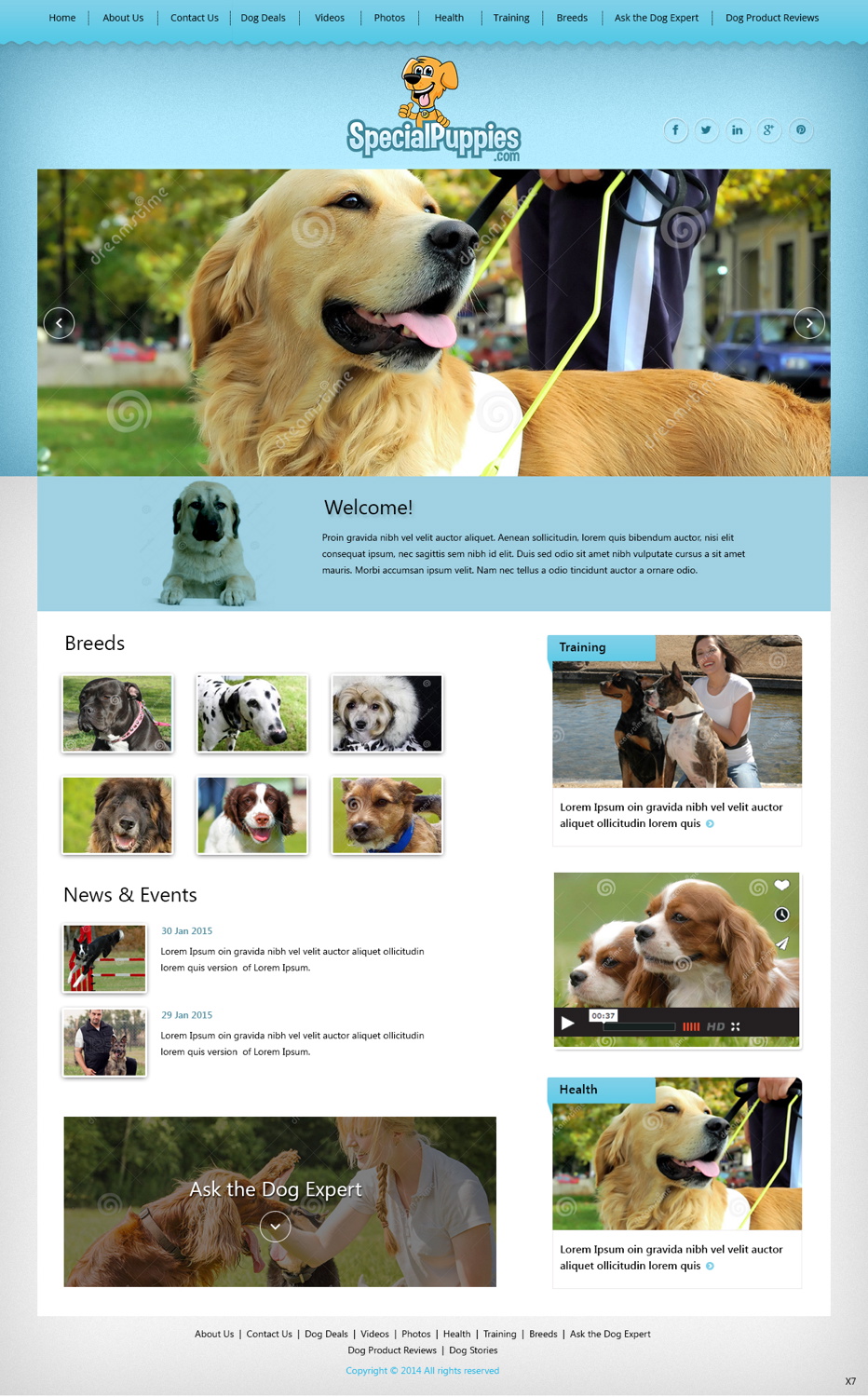 Web Design by pb for this project | Design #5390216