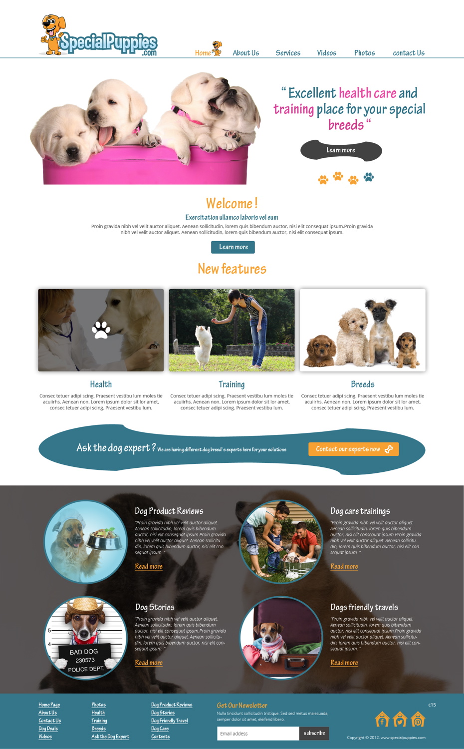 Diseño Web por pb para este proyecto | Diseño #5390220