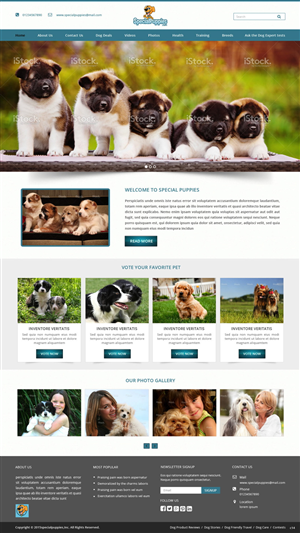 Web Design by pb for this project | Design: #5390223