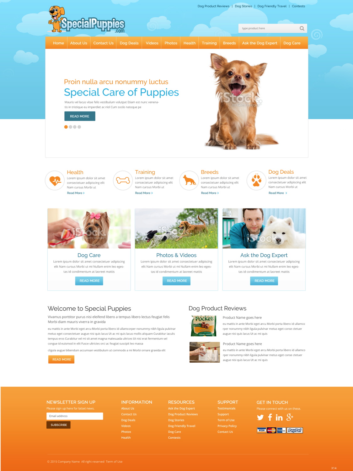 Diseño Web por pb para este proyecto | Diseño #5390230