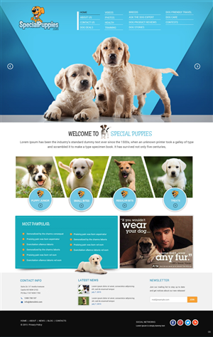 Web Design by pb for this project | Design: #5390232