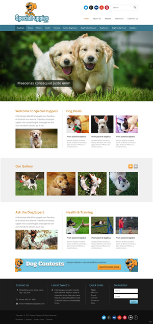 Web Design by pb for this project | Design: #5390236