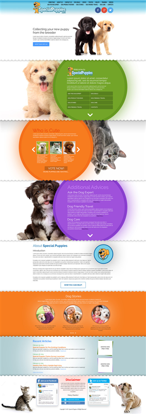 Web Design by Impressive Solutions for this project | Design: #5459478