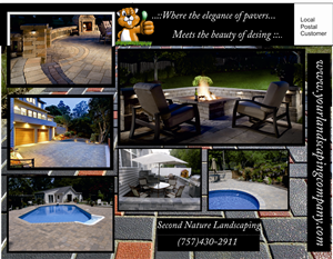 Flyer Design by Adi Toader for guaranteed greener grass | Design #1505901