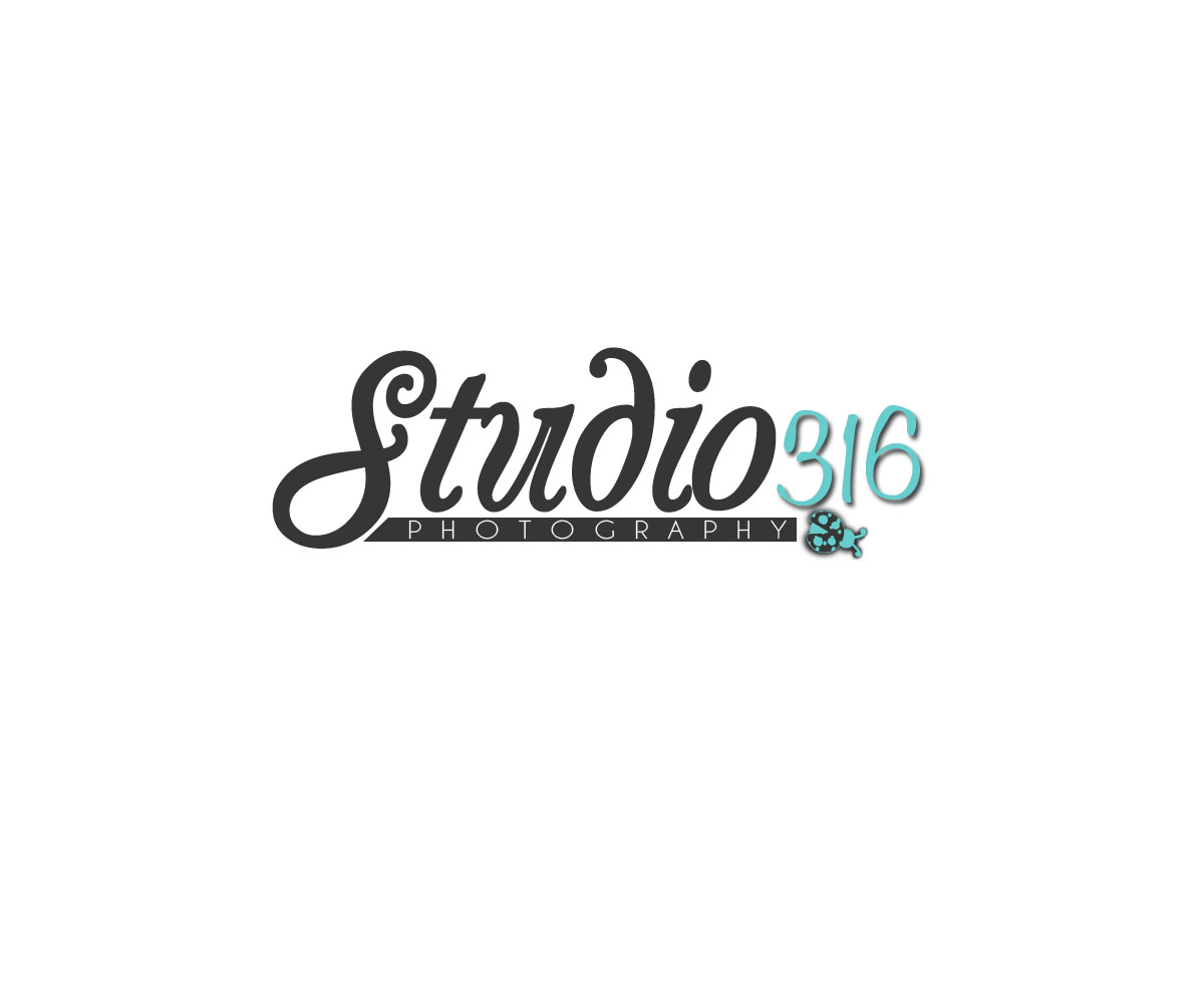 Logo Design by Lovely Claire for Studio 316 Photography | Design #1496019