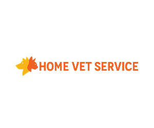 Logo Design by Adam Morsy