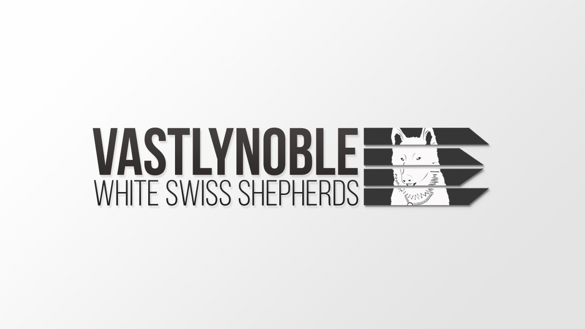 Logo Design by Mr. Strangelove for this project | Design #5406123
