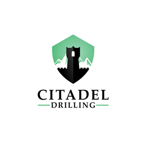 Logo Design by ionitza