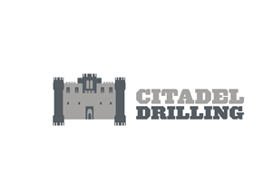 Logo Design by Pablo Acedo