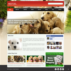 Web Design by pb for DJN Consulting | Design: #1496889