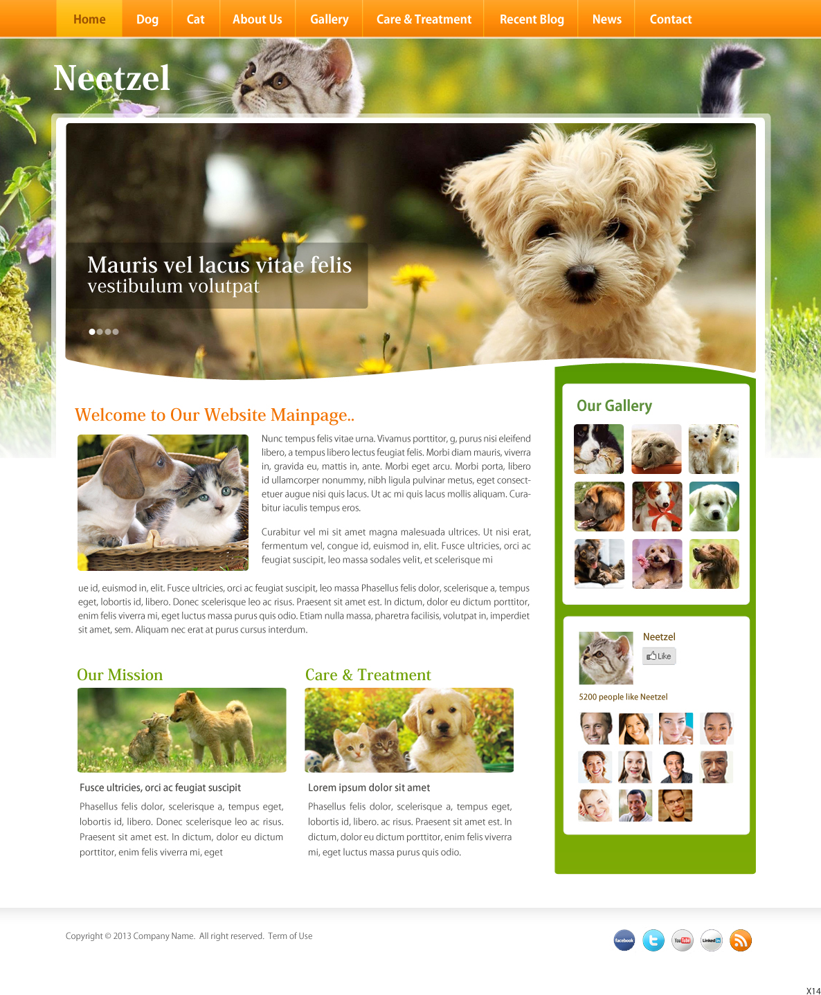 Web Design by pb for DJN Consulting | Design #1499460