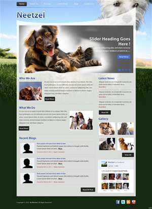 Web Design by pb for DJN Consulting | Design: #1503061