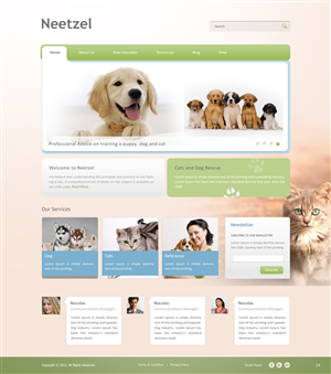 Web Design by pb for DJN Consulting | Design: #1503065