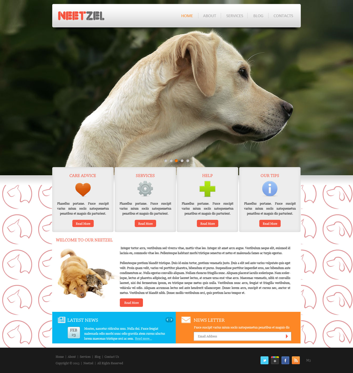 Web Design by pb for DJN Consulting | Design #1503067
